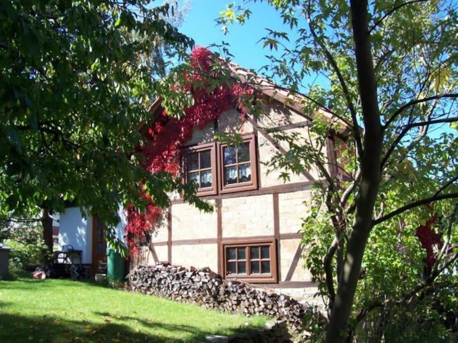 Ferienhaus Harz Villa Allrode Ngoại thất bức ảnh